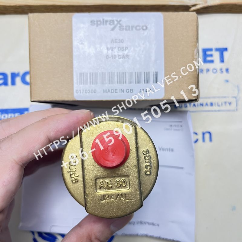 斯派莎克 Spirax Sarco AE30 1/2"液体系统自动排空阀 顶部
