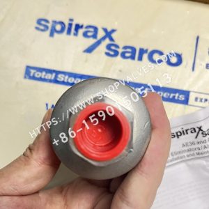 IMG_6765 斯派莎克 Spirax Sarco AE36A 液体系统自动排空阀 底部
