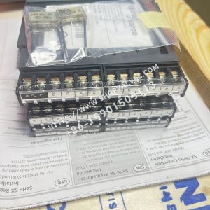 IMG_6788 斯派莎克 Spirax Sarco SX90 过程控制器 接口