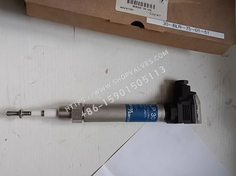 Spirax Sarco LP30 High Integrity, Self-monitoring Low Level Alarm Probe