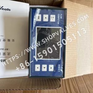 斯派莎克 Spirax Sarco M841 流量计算仪