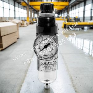 斯派莎克 SPIRAX SARCO MPC2M 高效压缩空气过滤器/调节器