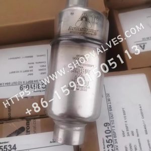 Armstrong Armstrong 11-AV Stainless Steel Air Vent Valve